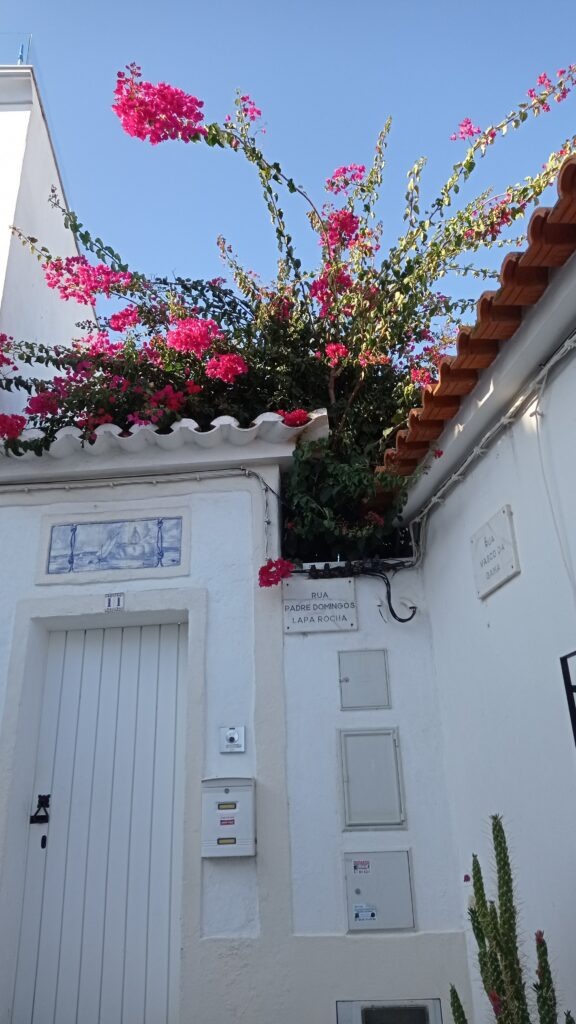 Bílý dům s bílými dveřmi a nad domem růžová kvetoucí buganvílie