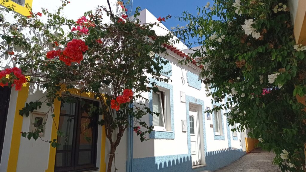 barevné domy a kvetoucí buganvílie