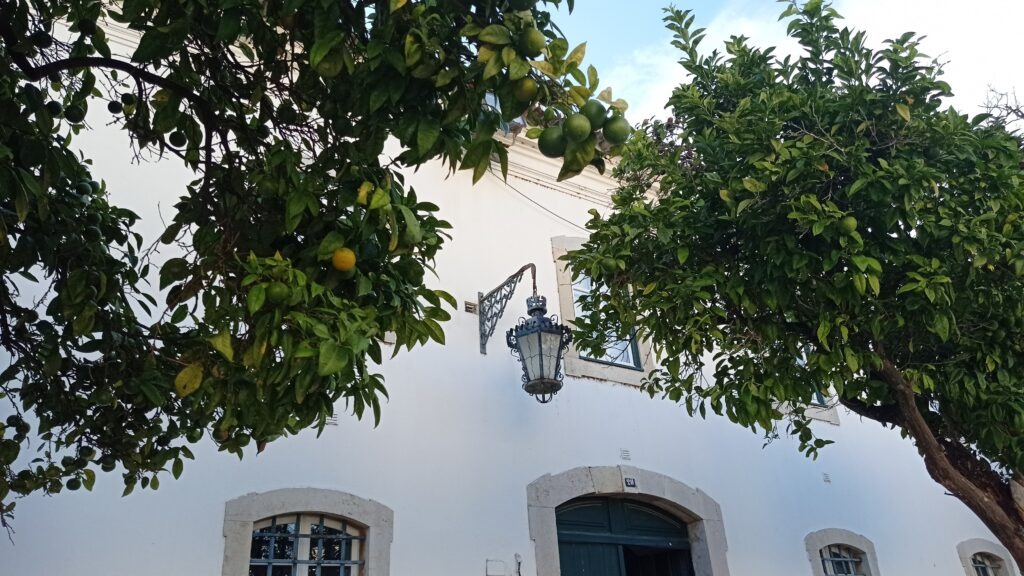 Bílý dům s lucernou a stromy s citróny
