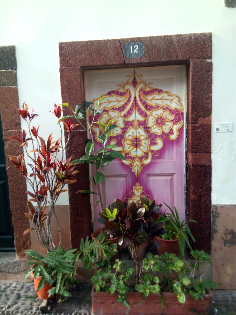 pomalované dveře a před nimi květiny