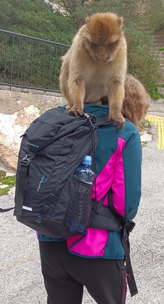 Turistka v bundě a s černým batohem která má opici za krkem