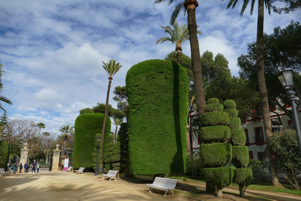 Cádiz Parque Genoves