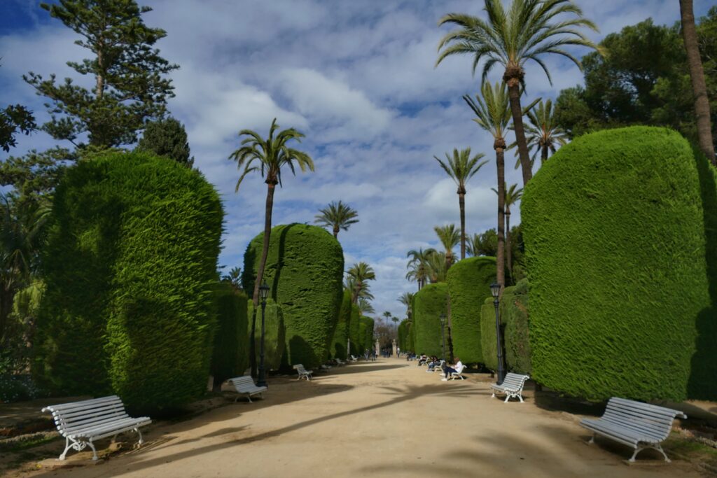 park se zastřiženými stromy a palmy a bílé lavičky