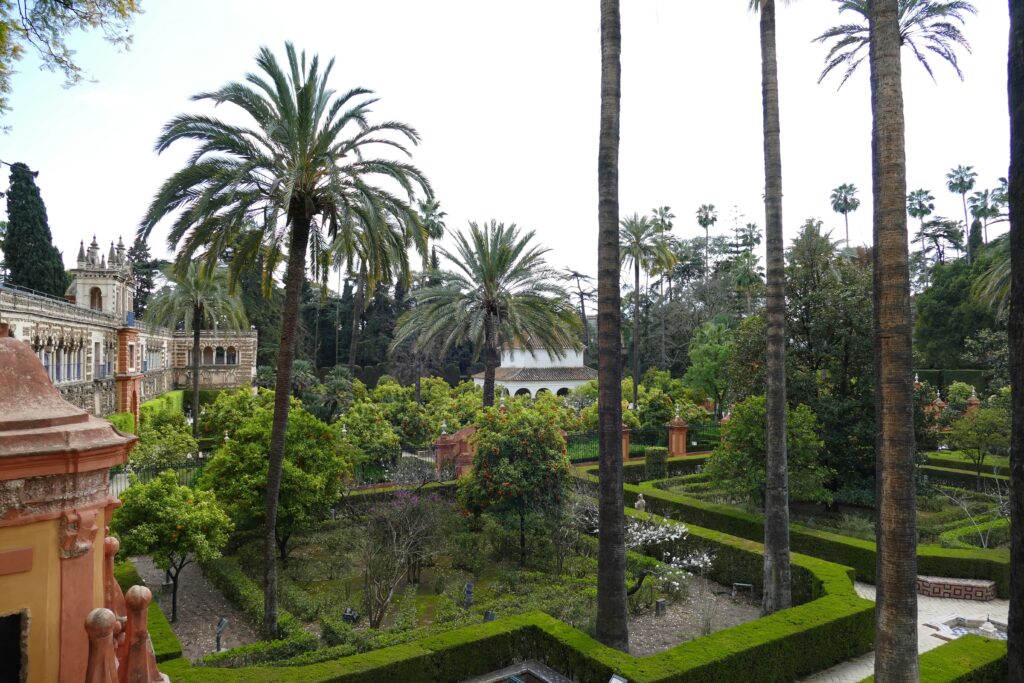 zahrady s palmami a dalšími rostlinami