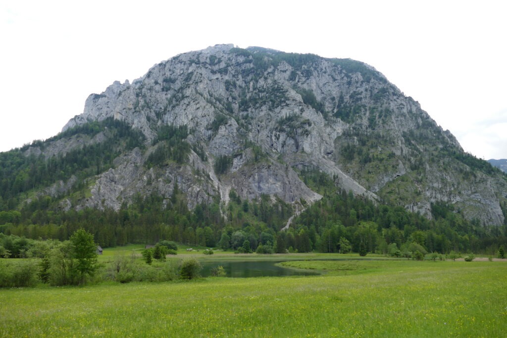 zelená louka a hora