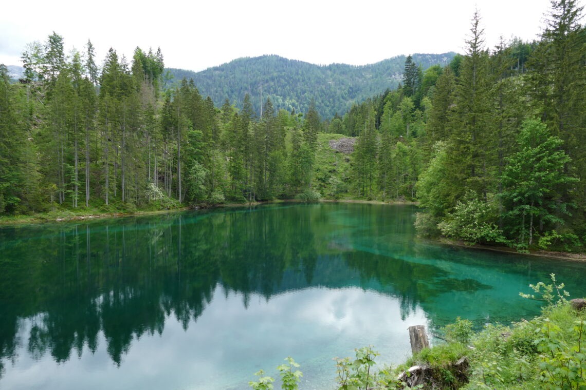 Horské jezero tyrkysové barvy a jehličnaté stromy