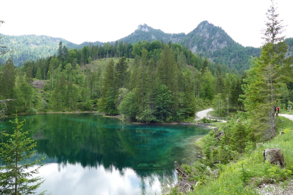 Tyrkysové horské jezero a jehličnaté stromy