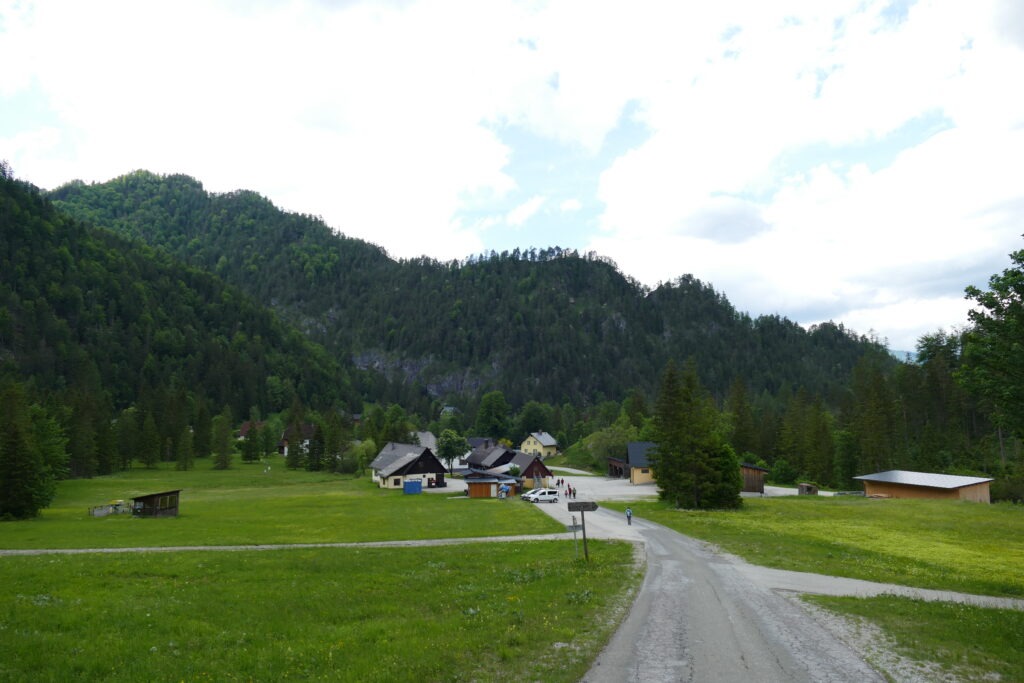 Cesta a lesy v kopcích