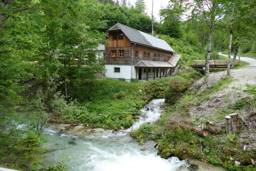 Řeka a horská chata a stromy