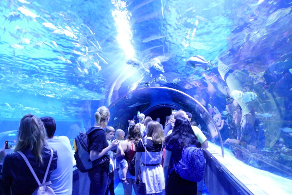 tunel s lidmi v akváriu