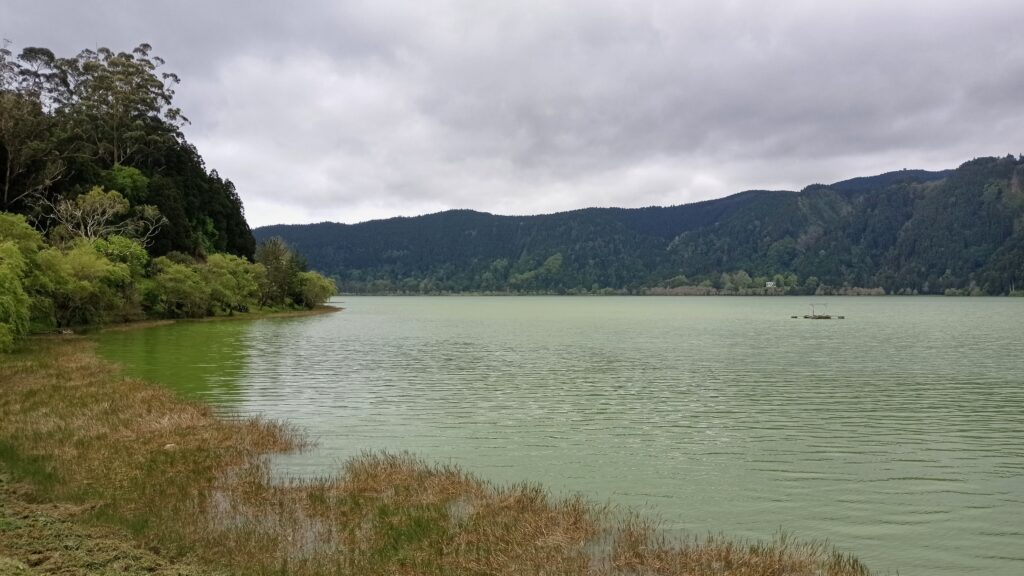 Jezero zelené barvy a lesy