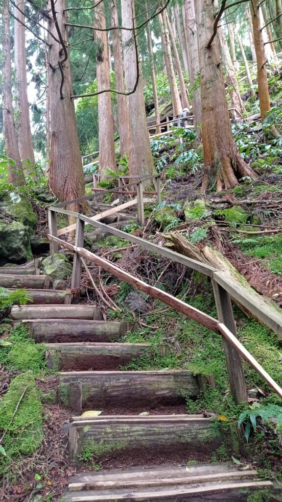 Dřevěné schodiště v lese