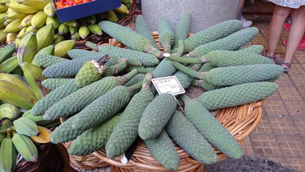 Monstera deliciosa v ošatce a banány