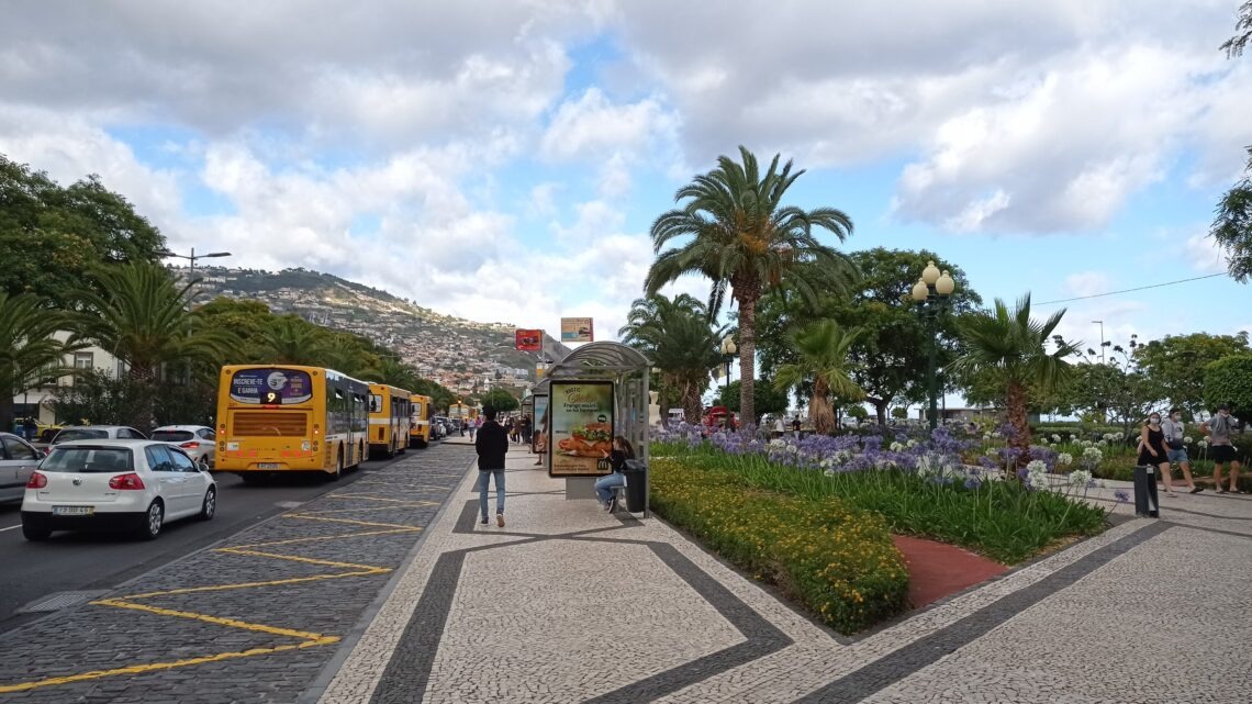 Autobusová doprava na Madeiře a zastávka s palmami a zelení