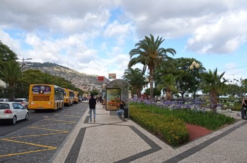 Autobusová doprava na Madeiře a zastávka s palmami a zelení