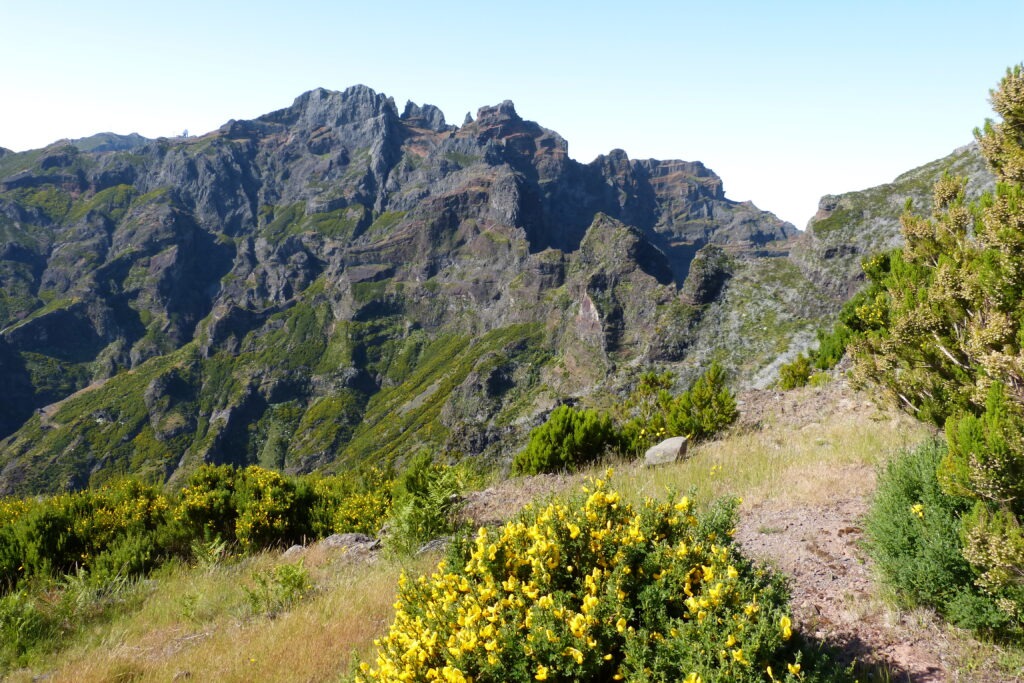 Hory při treku na Pico Ruivo a kvetoucí žlutý janovec