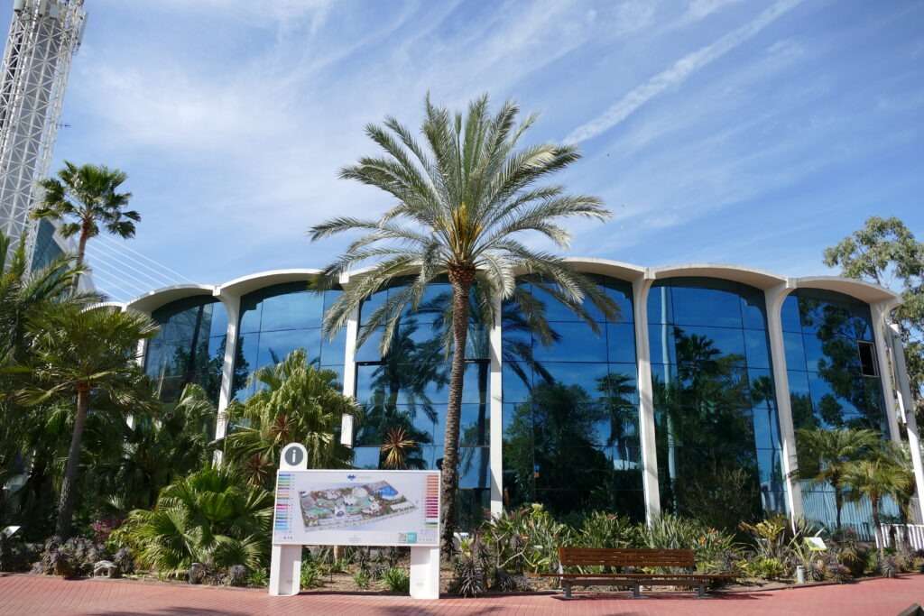 Palma a moderní budova