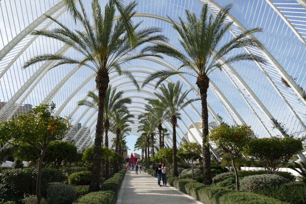 park s palmami a kovovou zaoblenou bílou konstrukcí a chodník uprostřed