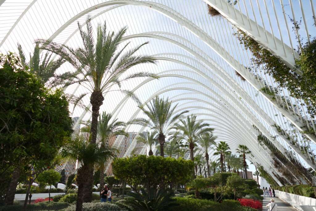 park s palmami a kovovou zaoblenou bílou konstrukcí