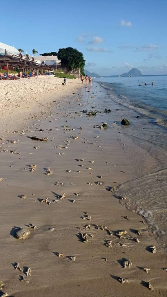 Pláž, kde jsou vidět na písku úlomky korálů