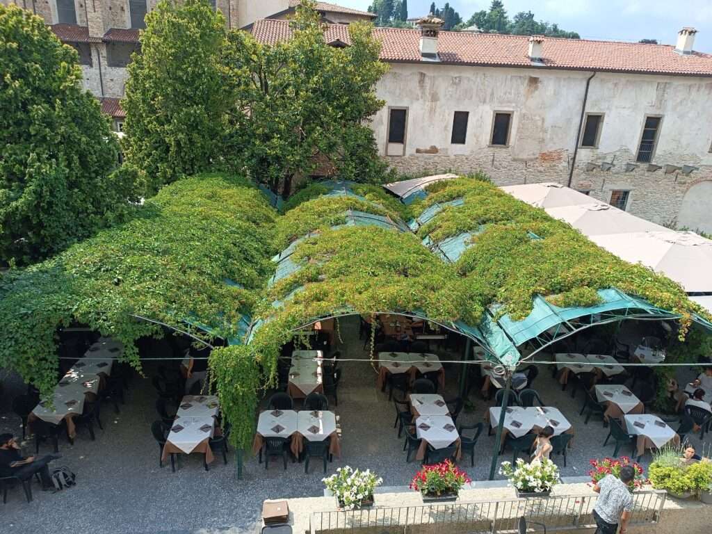 Výhled na venkovní posezení restaurace s porostlou střechou pnoucími se rostlinami