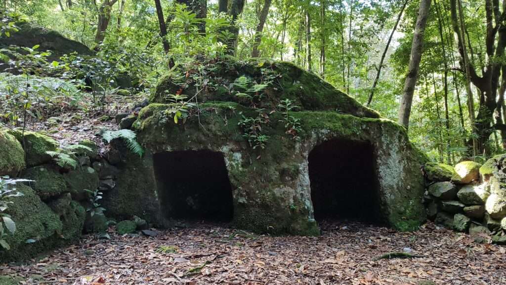 Betonový bunkr obrostlý mechem