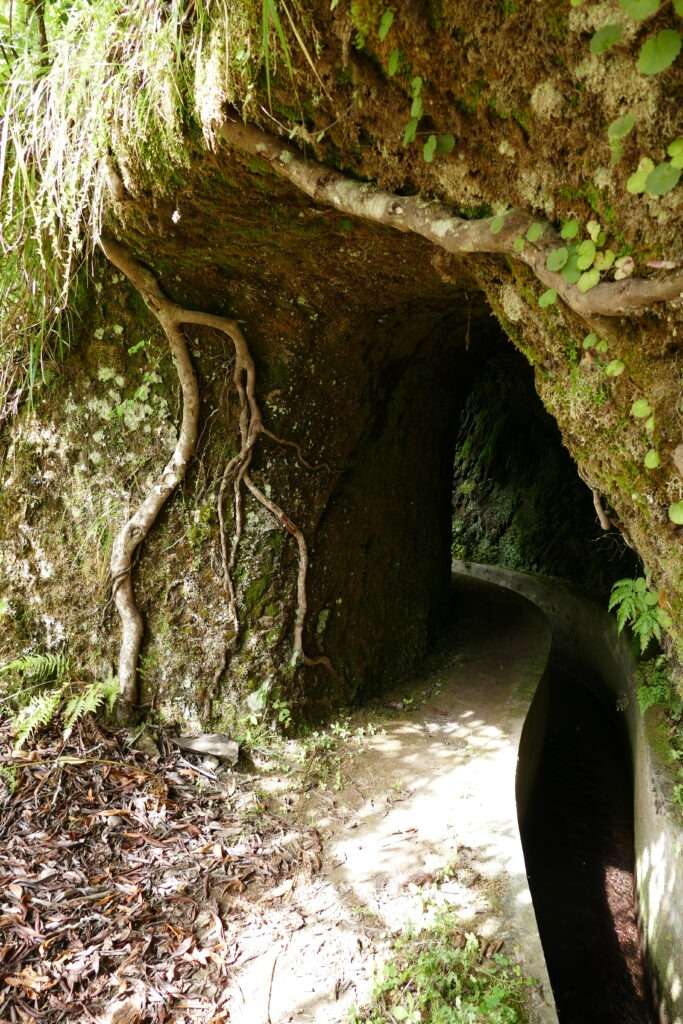 Vchod do tunelu na levádě