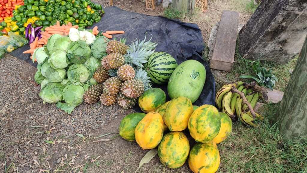 Čerstvé papáji, ananasy a melouny na trhu