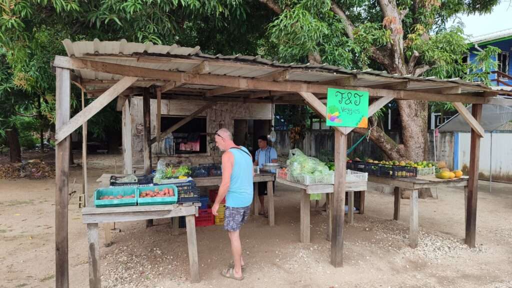 Prodejní stánek s ovocem na venkově v Belize