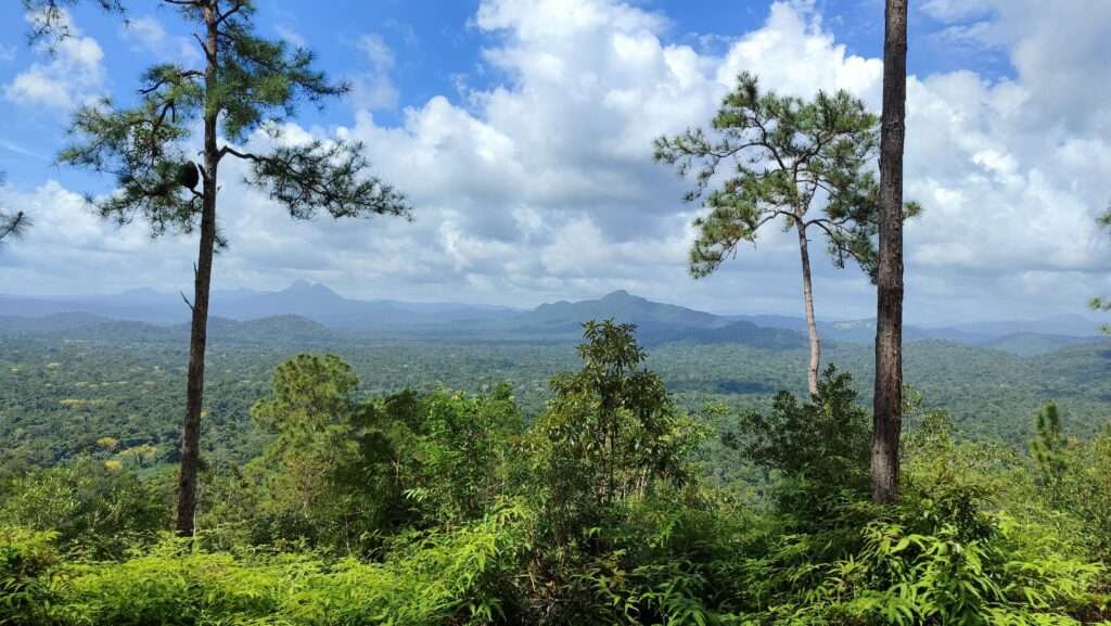 Výhled na tropickou krajinu z vyhlídky v Belize
