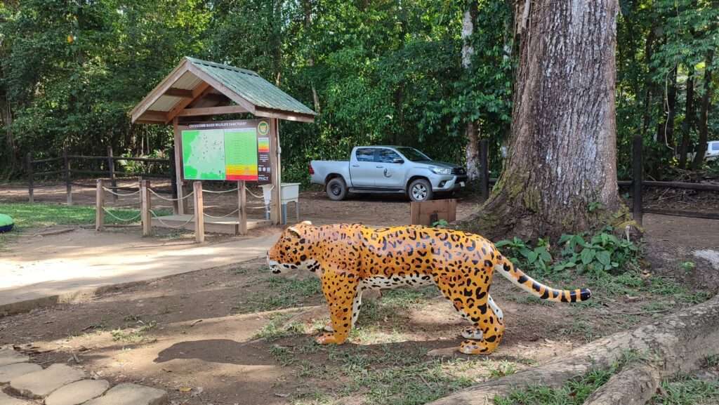 Vstup do ekologické rezervace s dřevěnou sochou jaguára