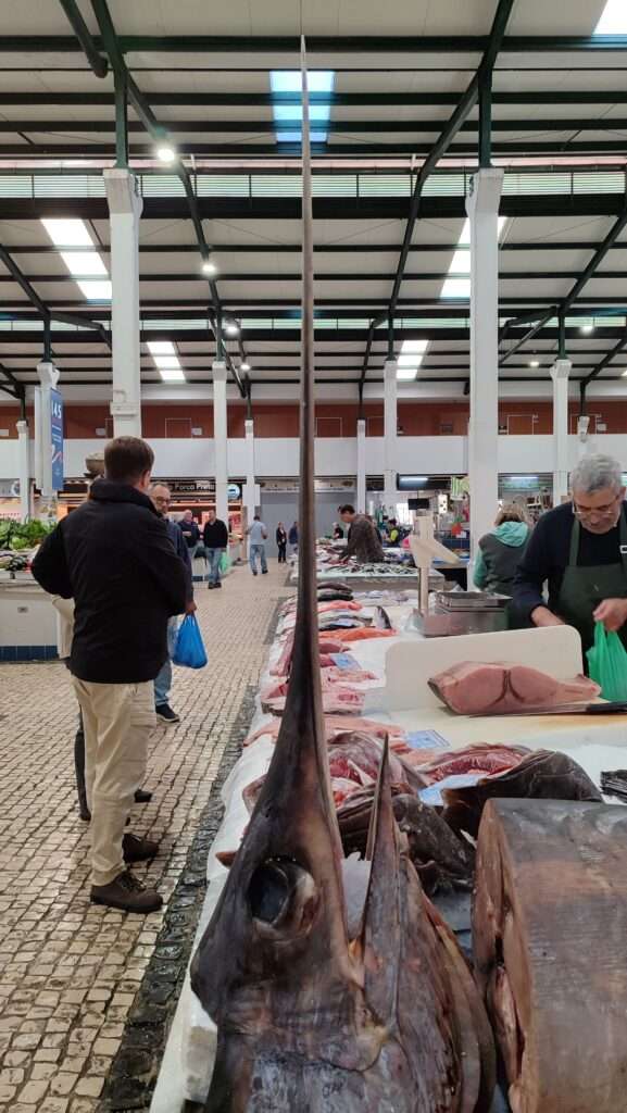 ákup mořských plodů na tradičním trhu Mercado de Setúbal v Portugalsku