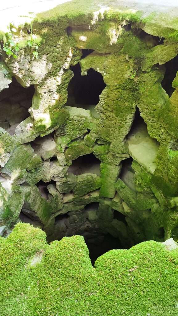Stěna pokrytá mechem a listy v části zahrad Quinta da Regaleira
