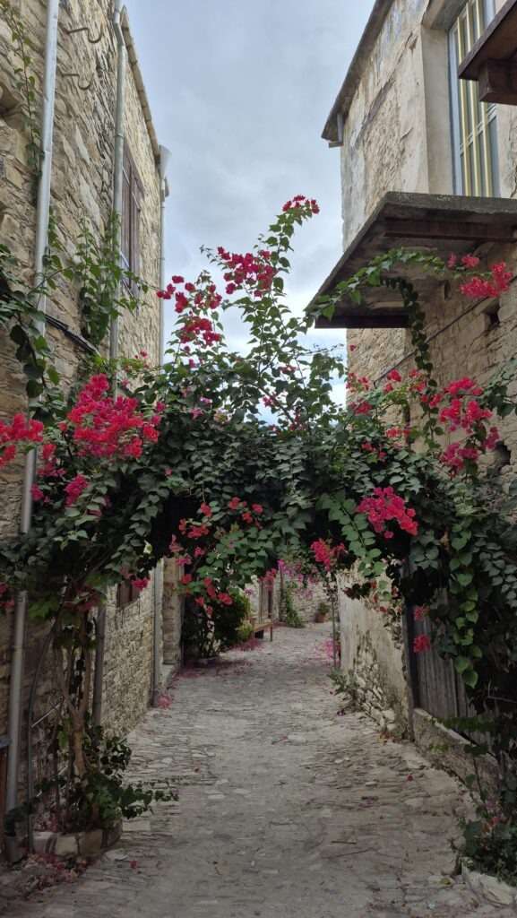 Kamenné domy a úzké uličky Lefkary – typická architektura