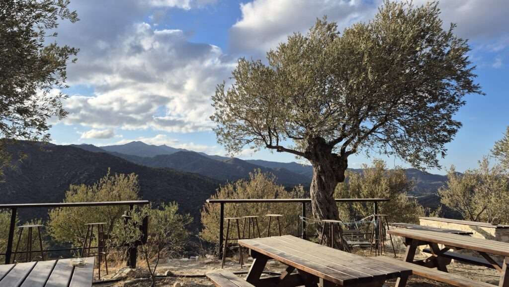 Dřevěná terasa s lavičkou u olivové farmy