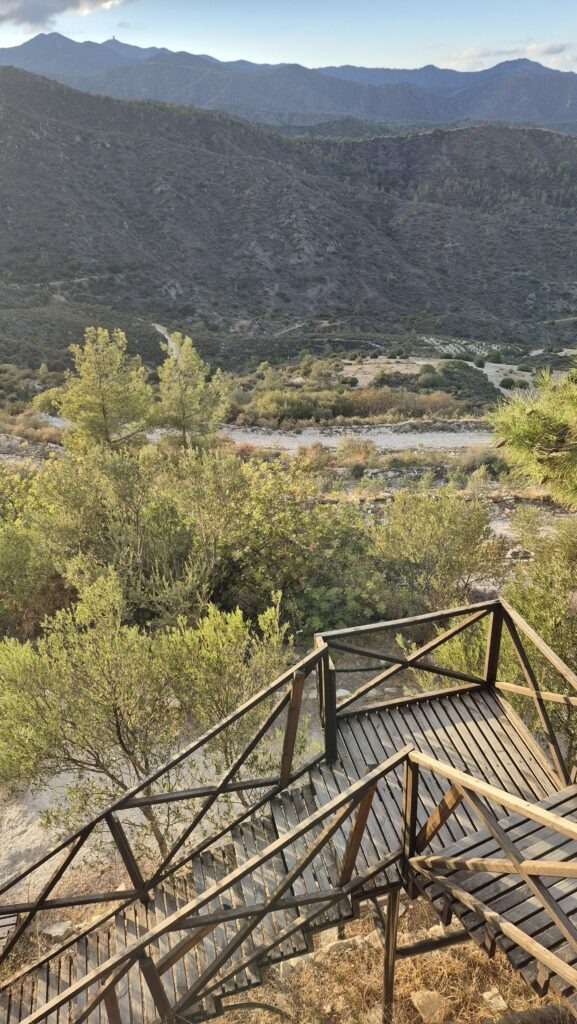 Vyhlídka na olivové háje a kopce