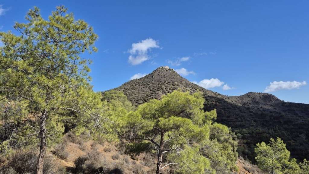 Vyhlídka v pohoří mezi borovicemi.