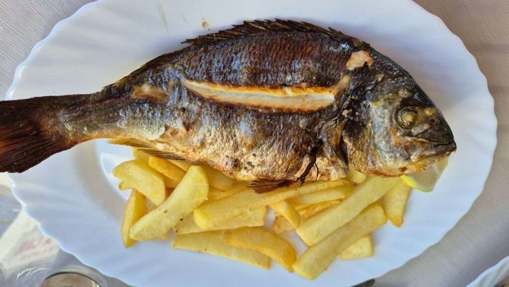 Grilovaná ryba s hranolky v tradiční rybí restauraci na Kypru.